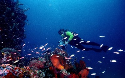 Tips Memotret Di Bawah Laut