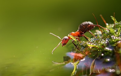 7 Macam Objek Yang Terlalu Sering Difoto