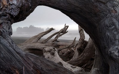 Menggunakan frame alami dalam fotografi landscape