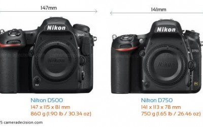 Review Kamera Nikon D500 vs Nikon D750