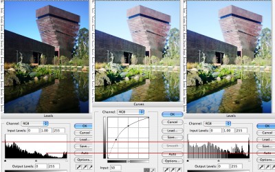 Fotografer Pemula – Memahami Konsep Histogram (Nada dan Kontras)